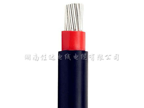 香蕉网站在线观看系列