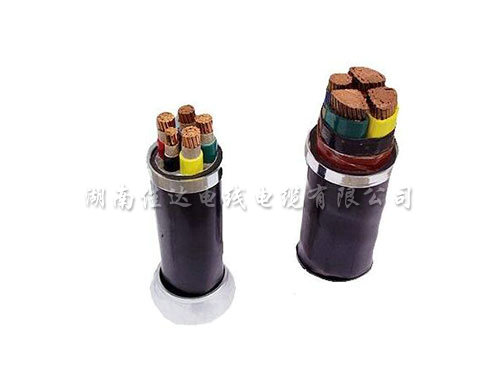 低压日本香蕉视频